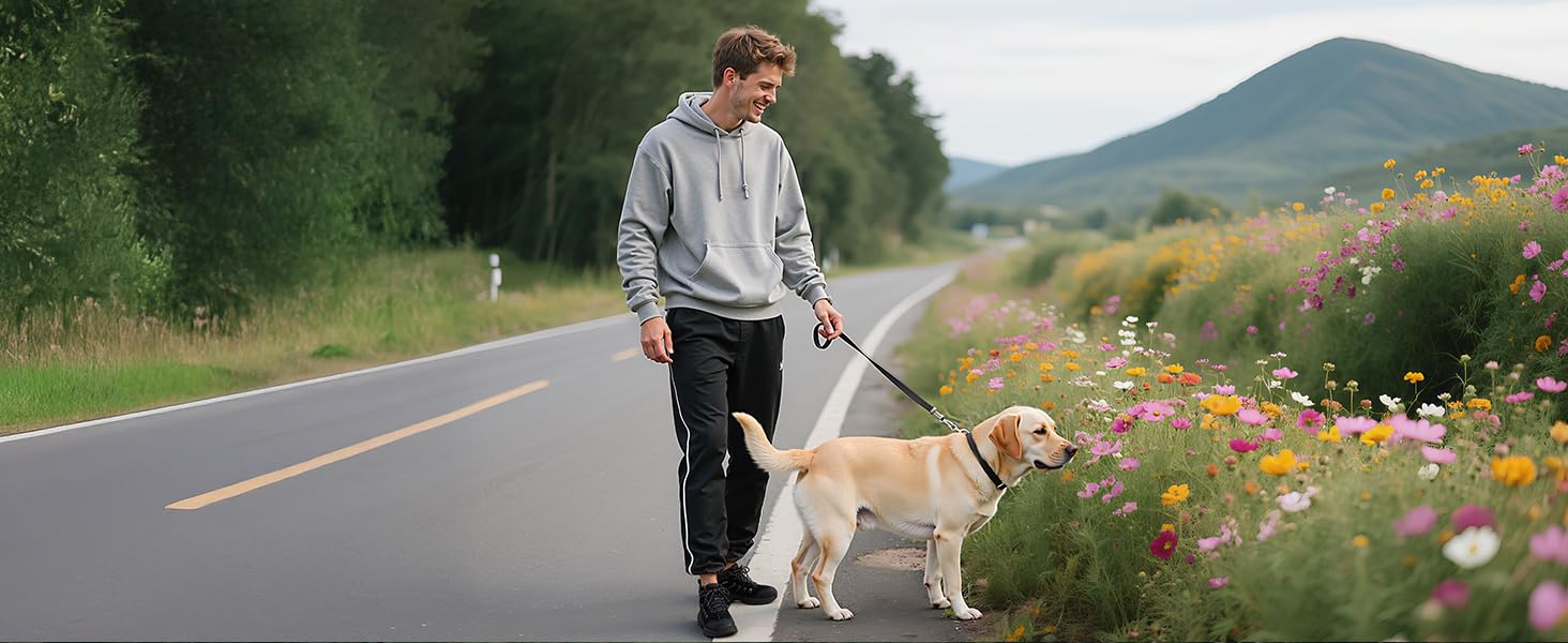 3634503c-f26c-487e-bed5-523c59f106f3