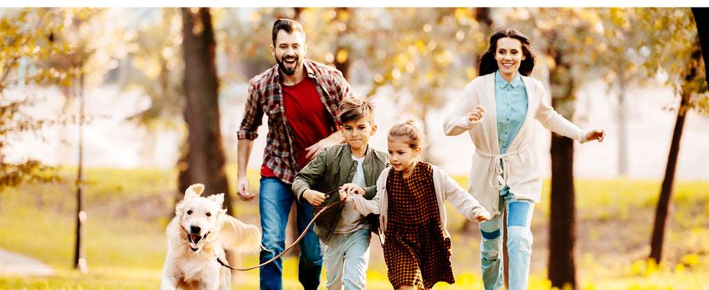 7115b560-b24f-47e2-ab1b-833e2fc61c23